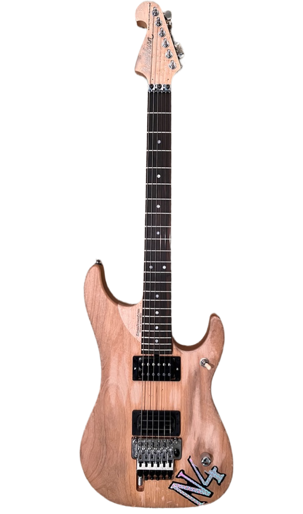 Washburn N4 - ギター